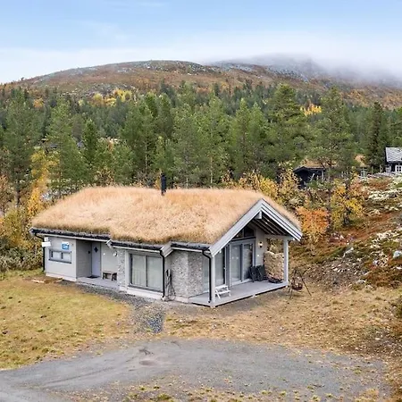 The At Lemonsjoen Jotunheimen * Randsverk