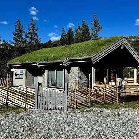 The At Lemonsjoen Jotunheimen * Randsverk