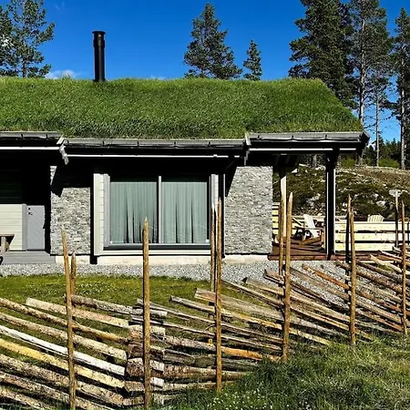 The At Lemonsjoen Jotunheimen Holiday home *